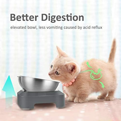 AYADA Raised Cat Food Bowl Stainless Steel 15 Degree Tilt (Double) - Image 2
