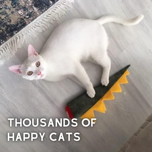 pawdaz Large Cat Toy Dino - Catnip Matatabi Silvervine Filled Help Relief Stress Interactive Indoor Cat Kicker (Green) - Image 4