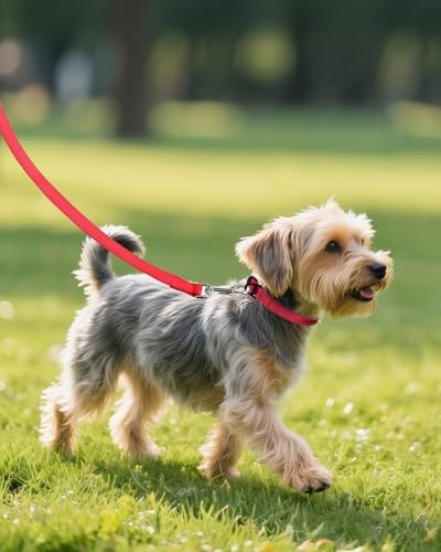 Joytale Feather-Light Dog Collar for Small Dogs & Puppies, 5/8", Red - Image 6