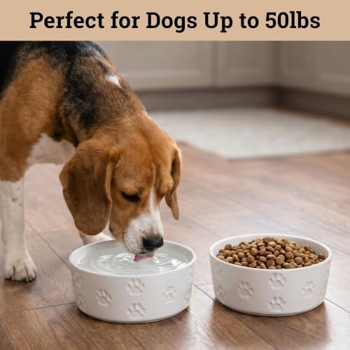 Ceramic Dog Bowl Set of 2 w/ Anti-Skid Base 6.5"W x 2.5"H, 3.8 Cup Capacity - Image 3