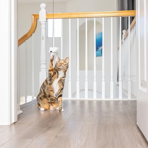 SPOT A-Door-Able Bouncing Mouse Cat Toy - Hanging Rattle & Catnip Interactive Toy, Entertain Cats for Hours, Indulge Natural Hunting Instincts, Provide Mental Stimulation, Suspend From Any Door Frame - Image 5