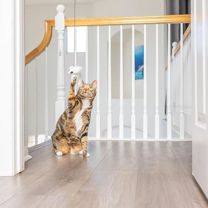 SPOT A-Door-Able Bouncing Mouse Cat Toy - Hanging Rattle & Catnip Interactive Toy, Entertain Cats for Hours, Indulge Natural Hunting Instincts, Provide Mental Stimulation, Suspend From Any Door Frame - Image 5