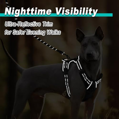 BARKBAY Dog Harness for Small Sized Dog No Pull 2 Leash Clips Dog Vest - Image 5