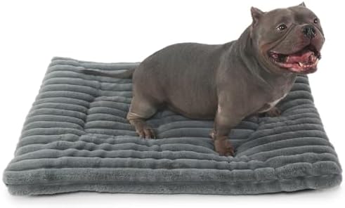 Dog Beds Crate Pad for Medium to Large Dogs Ultra Soft Dog Mat for Crate or Cage 36 Inch Washable and Anti-Slip Fluffy Flat Kennel Pad for Pets Cozy Sleeping Mattress Cushion,35" x 23",Grey by ZihapgpzpPetSupplies