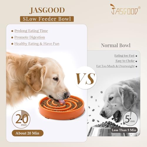 JASGOOD Slow Feeder Dog Bowl - Anti-Gulping, Prevents Bloat & Choking, Healthy Design for Large & Medium Dogs - Image 2