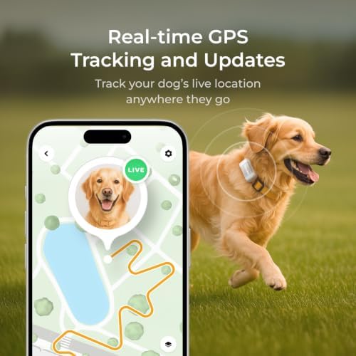 Petcube GPS Tracker for Dogs – Real-Time GPS Tracking & Escape Alerts - Image 3