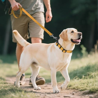 Joytale Reflective Dog Collar, Adjustable Neoprene Padded, Khaki XL - Image 6
