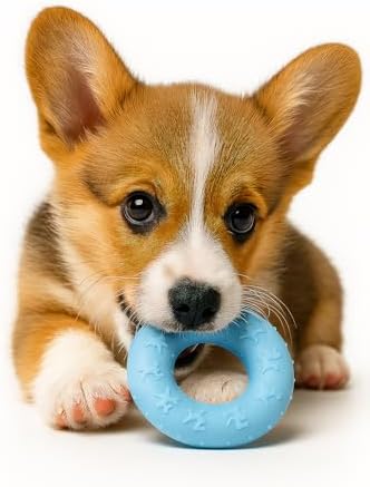 Jalousie Multipack Dog Squeaky Toys Bulk Bundle Pup Toy - Puppy Toys for Pets for Small Medium Breed (30 PCs Gift Basket) - Image 7