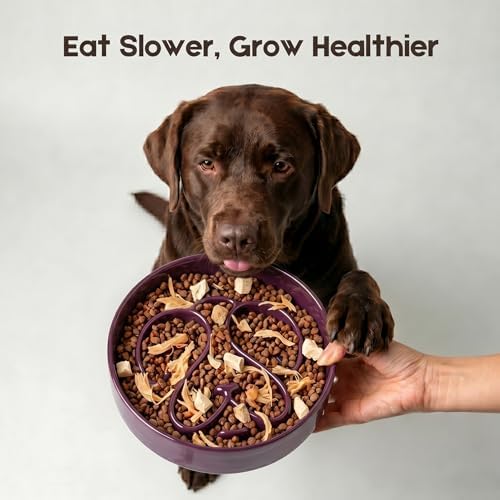 Slow Feeder Dog Bowl, 8” Ceramic Dog Bowls for Medium & Large Breed, Purple - Image 6