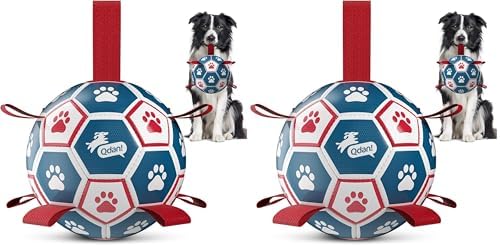 QDAN Dog Balls, World Cup Soccer Ball with Straps, Durable Herding Balls for Small Medium Pet, Puppy Birthday Gifts, Dog Water Toy, Pet Toys Puppy Ball (6 Inch) (Pack of 2) by QDAN