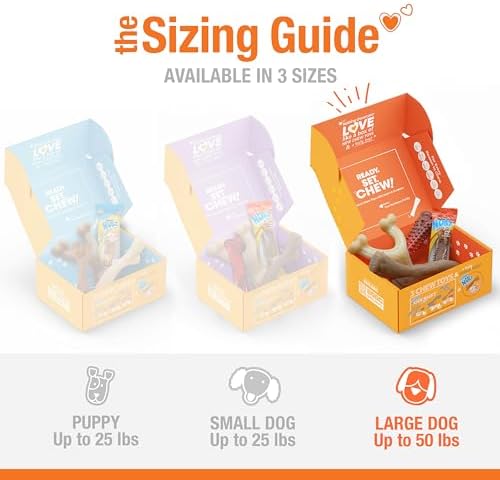 Nylabone Dog Gift Box, Strong Chew Toys & Treat, Large, 4 Count - Image 4