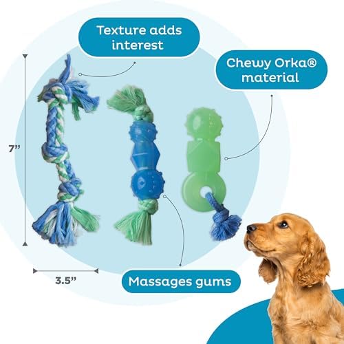 Mini Dentachew Dental Dog Chew Toys, 5-8", 3-Pack - Image 4