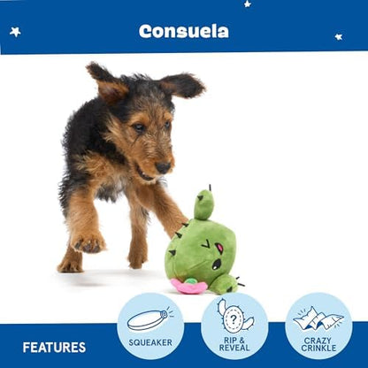 BarkBox Consuela the Cactus 2-in-1 Interactive Plush Dog Toy - Image 4