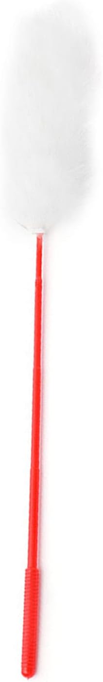 plplaaoo Interactive Cat Plush Teaser Wand for Indoor Play - Bite Resistant Flexible Soft Plush Cat Wand Toy for Kitten Training & Exercise,Funny Stick for Cats(White)