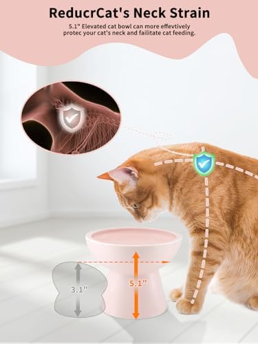 LoeJan Elevated Cat Food and Water Bowls Set, Pink - Raised Ceramic Anti-Vomit Whisker-Free Feeder for Kittens to Adult Cats - Image 3