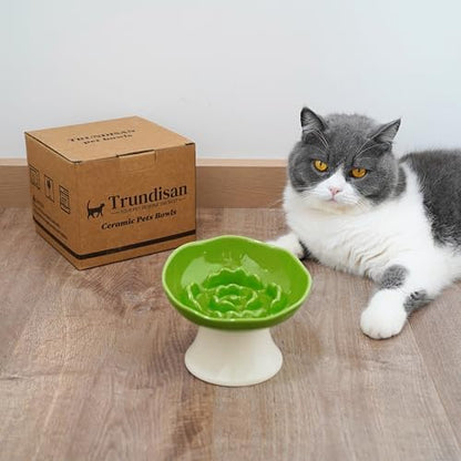 Ceramic Slow Feeder Bowl for Cats and Small Dogs, Elevated Tilted Pet Food Dish, Whisker Friendly Anti-Vomit Design, Heavy Stable Base, Dishwasher Safe， 5 Colors Options (Leaf Green) - Image 5