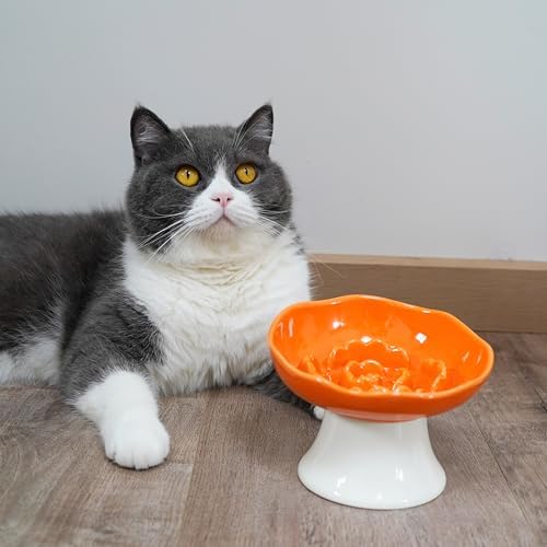 Ceramic Slow Feeder Bowl for Cats and Small Dogs, Elevated Tilted Pet Food Dish, Whisker Friendly Anti-Vomit Design, Heavy Stable Base, Dishwasher Safe， 5 Colors Options (Tangerine Orange) - Image 5