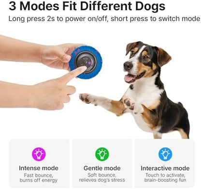 Potaroma Dog Ball Toy, Motion Activated Interactive Bouncing Ball - Image 4