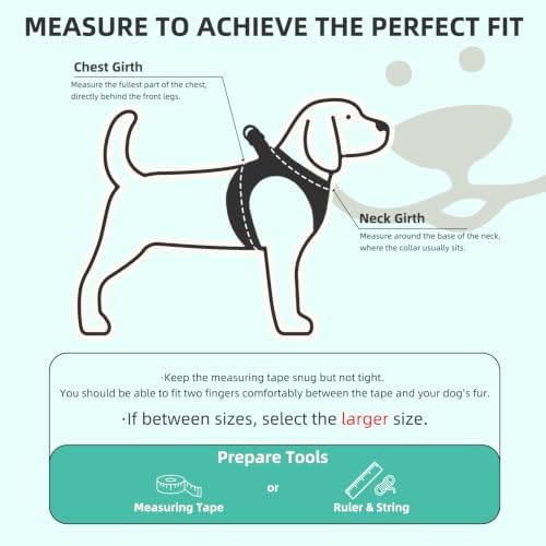 PUPTECK Dog Harness, Collar and Leash Set No Pull for Small Medium Sized - Image 2