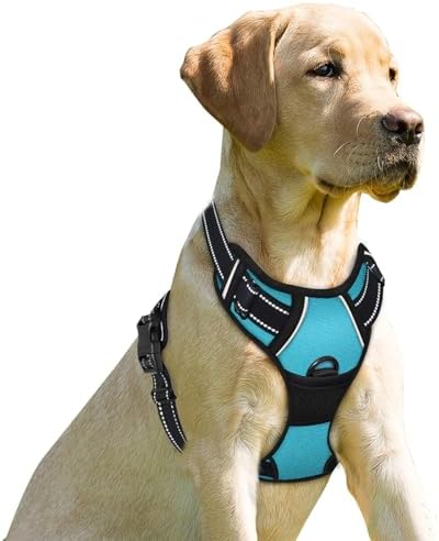 BARKBAY Dog Harness No Pull for Small Sized Dog Front Back Clips,Dog Vest by BARKBAY