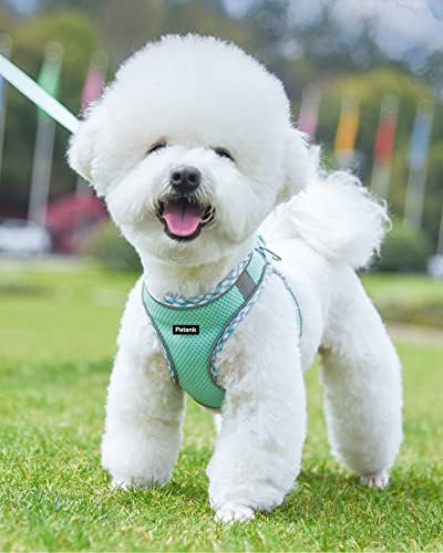 Petank Step in Dog Harness No Pull and Leash for Small Medium Dogs Cats. - Image 2