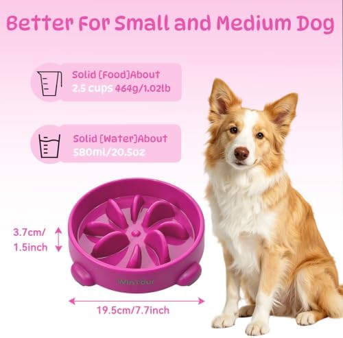 WinTour Slow Feeder Dog Bowls for Small Medium Pets, Round PP Dish, 1 Pack - Image 3