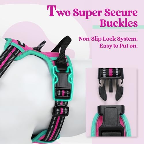 rabbitgoo Dog Harness, No Pull Medium Sized with 2 Leash Clips, Pet Vest - Image 3