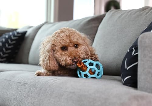 JW Pet HOL-ee Roller Dog Puzzle Ball, Medium 4.5in, Natural Rubber, Blue - Image 3