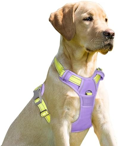 BARKBAY Dog Harness No Pull for Small Sized Dog Front Back Clips,Dog Vest by BARKBAY