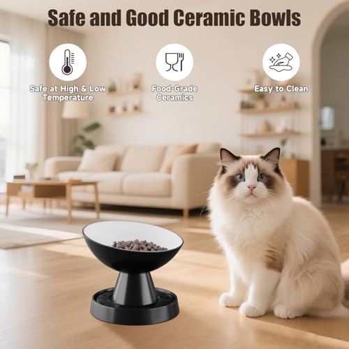 Raised Cat Food Bowl, Ceramic 15° Tilted Cat Bowl(Black) - Image 6