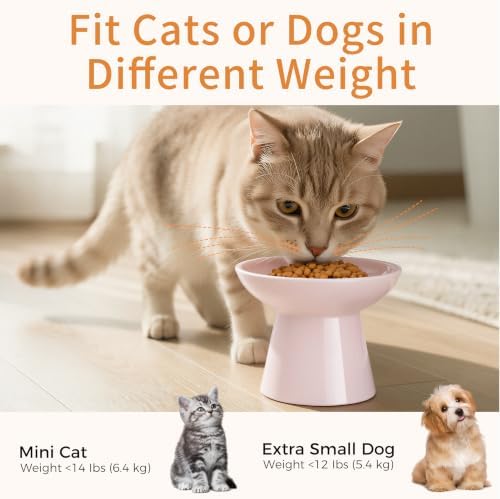 LoeJan Ceramic Cat Bowls, Elevated Cat Food and Water Bowls Set, Extra Wide and Raised Ceramic Bowls, Anti-Vomit Whisker-Free Pressure Cat Feeder for Kittens to Adult Cats - Image 6