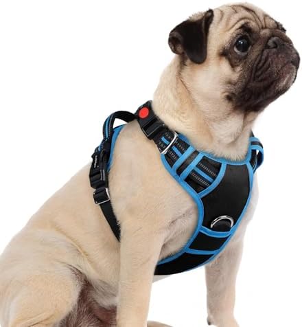 rabbitgoo Dog Harness Small Sized, No Pull 3 Buckles Easy On & Off by rabbitgoo