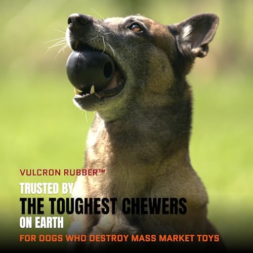 Monster K9 Scout Ball | Virtually Indestructible. Lifetime Guaranteed. | VULCRON™ Natural Rubber | Durable Dog Toy for Aggressive Chewers | Chew & Fetch | Tough, Heavy Duty | Medium & Large Breed, 3" - Image 2