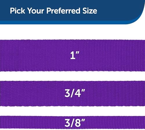 PetSafe Nylon Dog Leash - Strong, Durable, Traditional Style Leash with Easy to Use Bolt Snap - 1 in. x 6 ft., Deep Purple - Image 5
