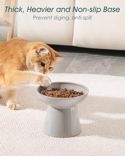 vancasso 2-Pack Extra Wide Elevated Cat Bowls, Ceramic Raised Cat Bowls - Image 6