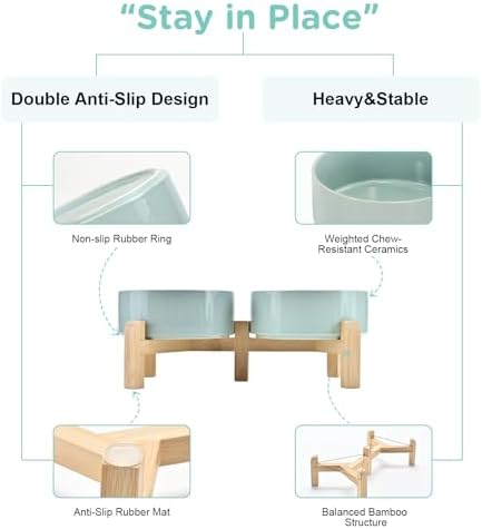SPUNKYJUNKY Elevated Dog Bowls Ceramic, 5.1'' Dogs and Cat Food Water Bowls Raised with Non-Slip Bamboo Stand for Puppy Small Sized Breed Microwave Dishwasher Safe - 13.5 OZ,Light Green - Image 4