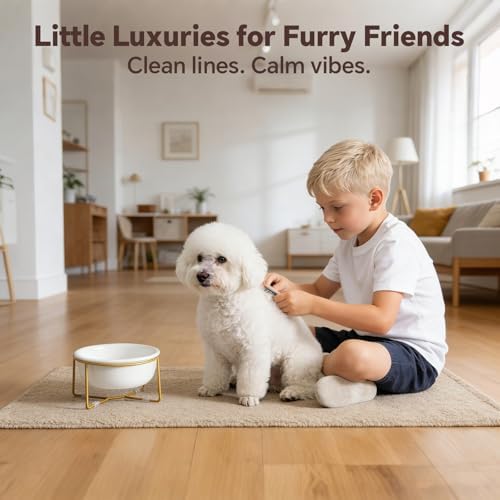 Elevated Ceramic Dog Bowl with Metal Stand - Raised Feeding Dish for Small and Medium Dogs - Ideal for Food or Water - Each Holds 600ml / 3.2 Cups (Approx. 320g) - White - Image 7
