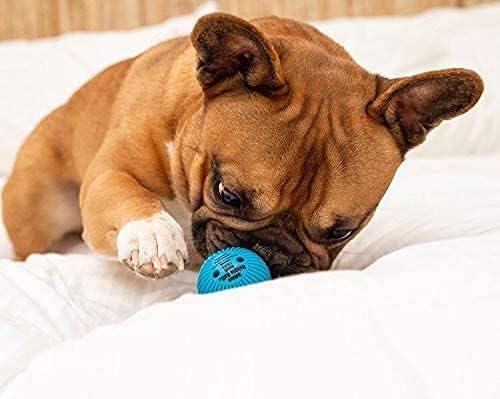 Pet Qwerks Talking Babble Ball - Interactive Chew Dog Toy - Large