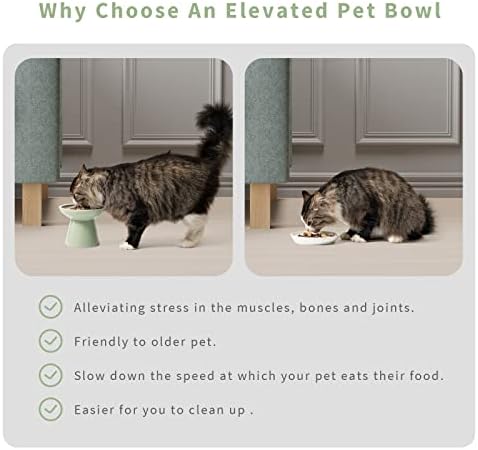 CEEFU 2 Elevated Ceramic Cat Bowls Upgraded with Food Mat for Food & Water - Image 4