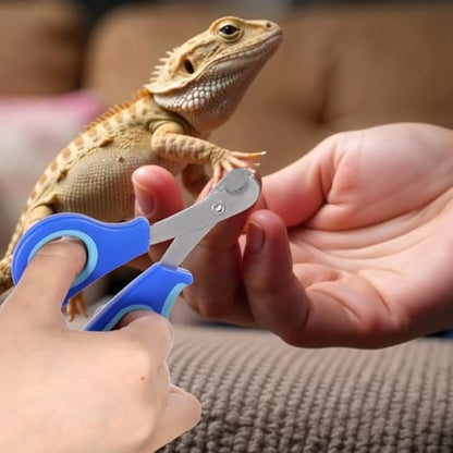 Stainless Steel Bearded Dragon Claw Trimmer, Reptile Clippers for Small Reptiles, Turtle, Chameleon, Hedgehog(Blue) - Image 5