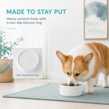 Havniva Ceramic Dog Bowls, 6.1” Dog Food and Water Bowl, Pet Feeding Bowl - Image 4