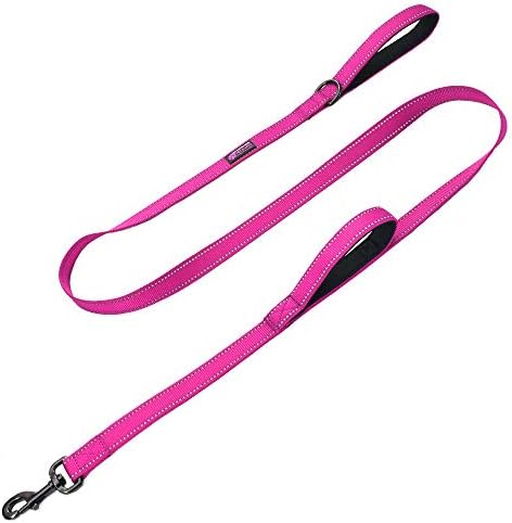 Max and Neo Double Handle Traffic Dog Leash - Reflective, Donates to Dog Rescue (Pink, 4 FT) by MaxandNeo