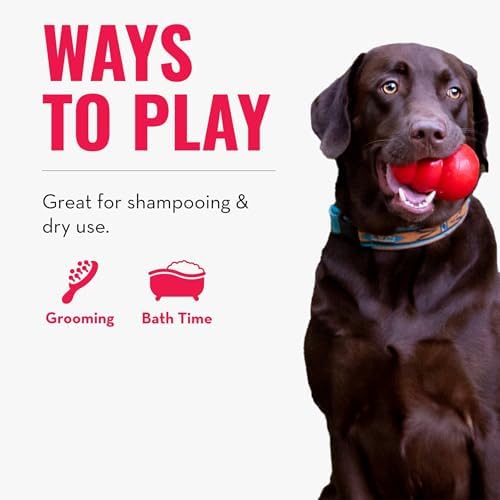 KONG - ZoomGroom - Dog Brush for Grooming and Shampooing - Red Brush for Large Dogs - Image 4