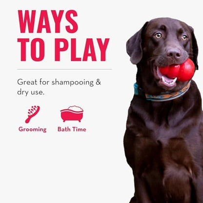 KONG - ZoomGroom - Dog Brush for Grooming and Shampooing - Red Brush for Large Dogs - Image 4