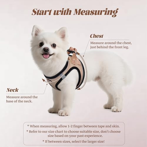 No Pull Dog Puppy Harness and Leash Set Reflective Mesh Vest Small - Image 2