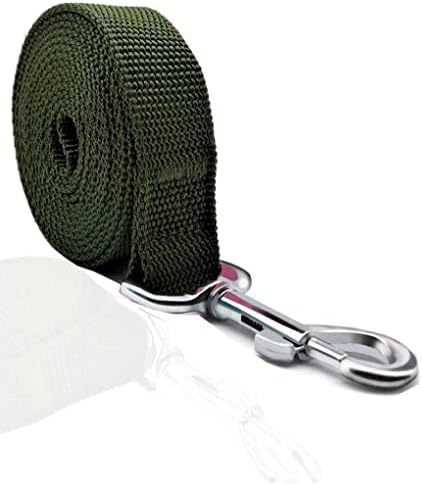TAIAN 4FT/5FT/6FT Strong Dog Leash, Nylon Dog Leashes for Small Medium Large Dogs (3/4 in x 5 ft, Green) by TAIAN