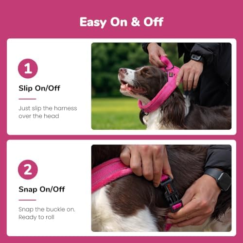Didog No Pull Dog Harness for Small Dogs, Soft Flannel Padded, Hot Pink, XS - Image 3