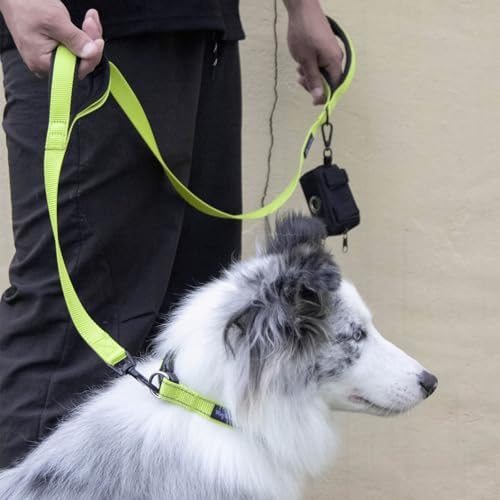 Wagtime Club Heavy Duty Double Handle Dog Leash for Large Medium Small Dogs - Image 5
