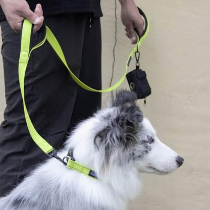 Wagtime Club Heavy Duty Double Handle Dog Leash for Large Medium Small Dogs - Image 5