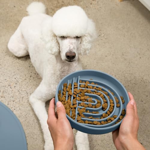 Slow Feeder Dog Bowl - Silicone Dog Bowl, Large, 9.5" x 1.5" - Ocean - Image 6